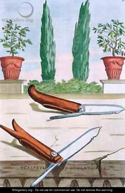 Gardening Knife - Filippo Gagliardi