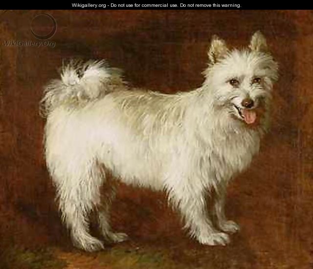 Spitz Dog - Thomas Gainsborough