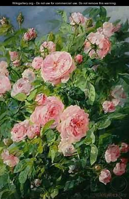 Pink Roses 2 - Pierre Garnier