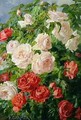 Pink Roses - Pierre Garnier