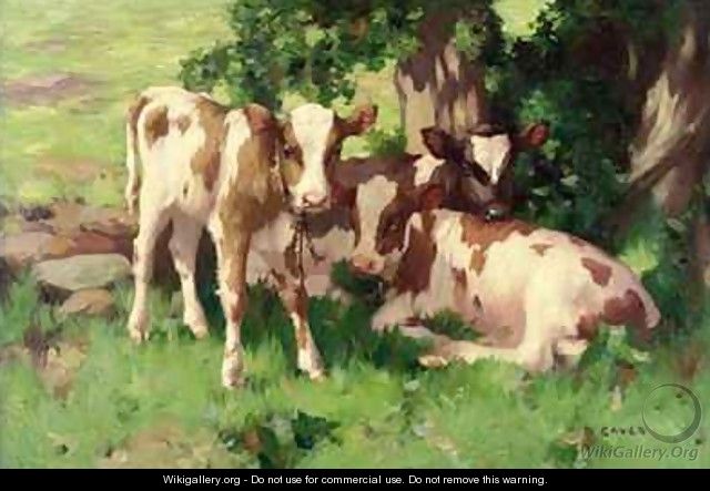 Three Calves in the Shade of a Tree - David Gauld