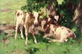 Three Calves in the Shade of a Tree - David Gauld