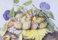 Still life with Plums Walnuts and Jasmine - Giovanna Garzoni