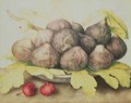 Figs - Giovanna Garzoni