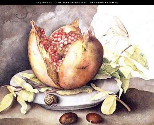 Pomegranate with Chestnuts - Giovanna Garzoni