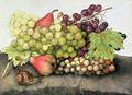 Snail with Grapes and Pears - Giovanna Garzoni