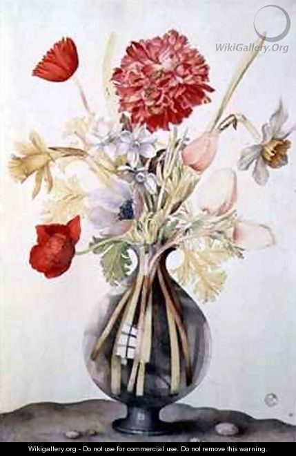 Vase of Flowers with Daffodils Carnations and Anemones - Giovanna Garzoni