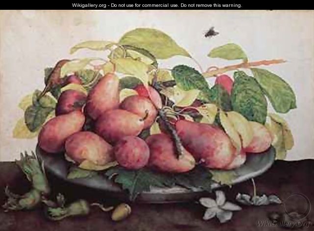 Pears with Hawthorns - Giovanna Garzoni