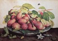 Pears with Hawthorns - Giovanna Garzoni