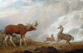 Earl of Orfords Elk Antelope and Stag - George Garrard