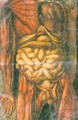 Torso of a man showing the intestines - Jacques - Fabien Gautier - Dagoty