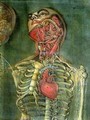 Throat and heart plate from Anatomy of the Visceras dissected - Jacques - Fabien Gautier - Dagoty