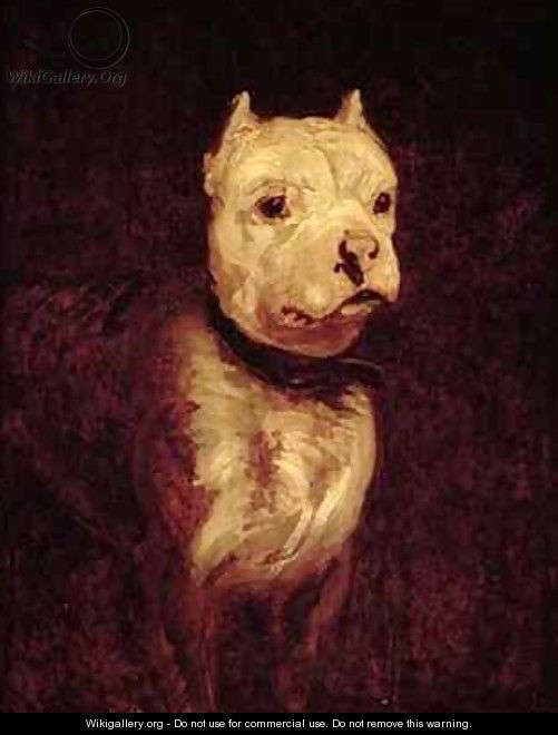 Portrait of a bulldog - Theodore Gericault