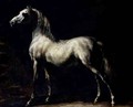 Study of a Dapple Grey - Theodore Gericault