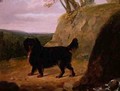 A Cocker Spaniel in the Landscape - E.W. Gill