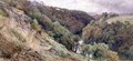 A Dell in Devonshire - Myles Birket Foster