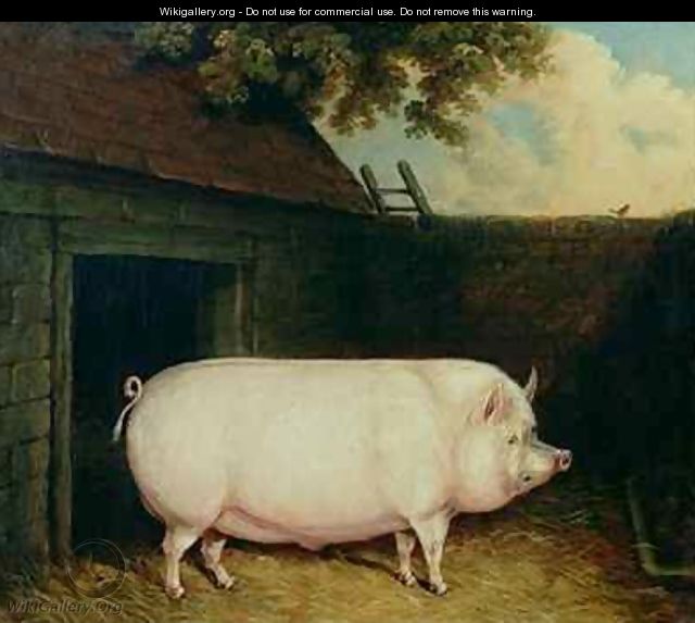 A Pig in its Sty - E.M. Fox