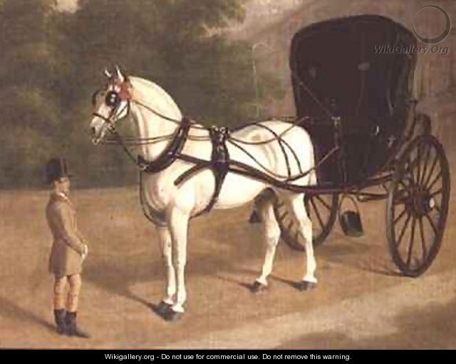 A Grey Horse and Cabriolet with Groom - E.M. Fox