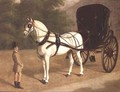 A Grey Horse and Cabriolet with Groom - E.M. Fox
