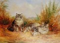 Two Tabby Kittens in a Rural Landscape - Frederick French