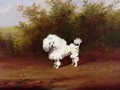A Toy Poodle in a Landscape - Frederick French