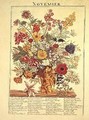 November from Flower Garden Displayed - Robert Furber