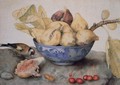 China Bowl with Figs, a Bird, and Cherries - Giovanna Garzoni