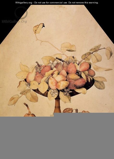 Bowl with Plums - Giovanna Garzoni