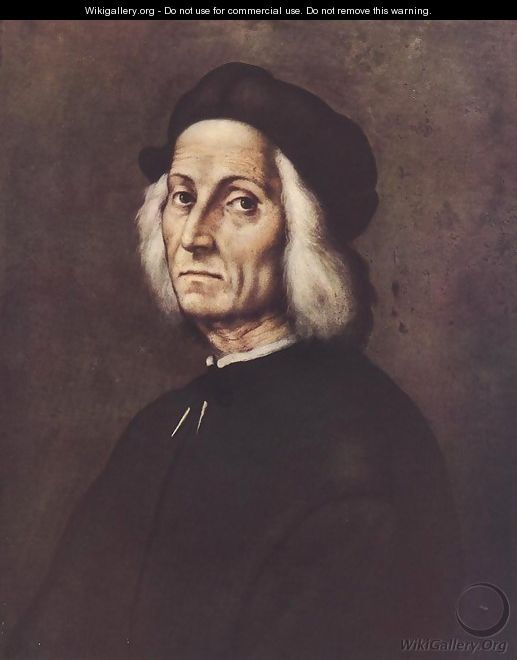 Portrait of an Old Man 3 - Ridolfo Ghirlandaio