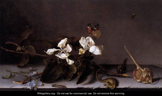 Still-Life with Apple Blossoms 2 - Balthasar Van Der Ast