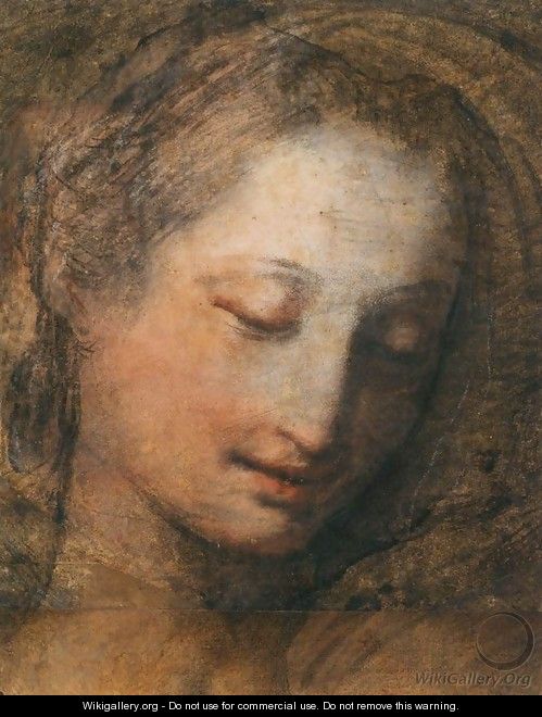 Face of a Woman with Downcast Eyes - Federico Fiori Barocci