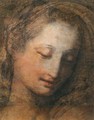Face of a Woman with Downcast Eyes - Federico Fiori Barocci