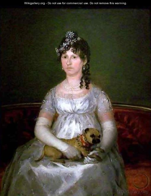 Portrait of Dona Francisca Vicenta Chollet y Caballero - Francisco De Goya y Lucientes