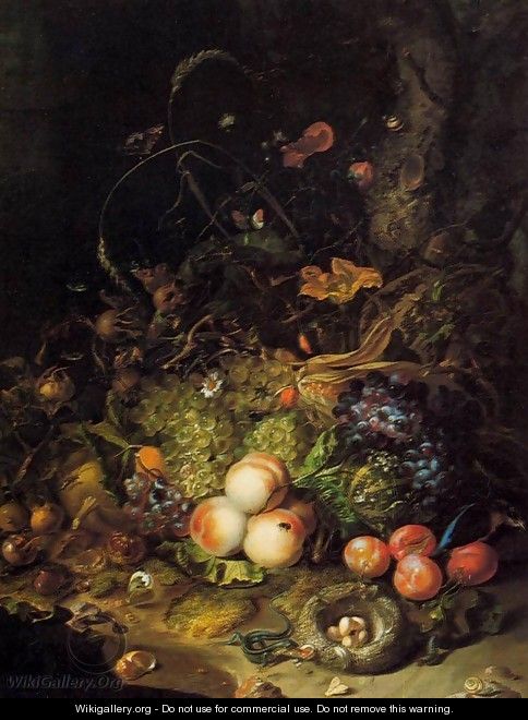 Flowers, Fruit, and Insects - Rachel Ruysch