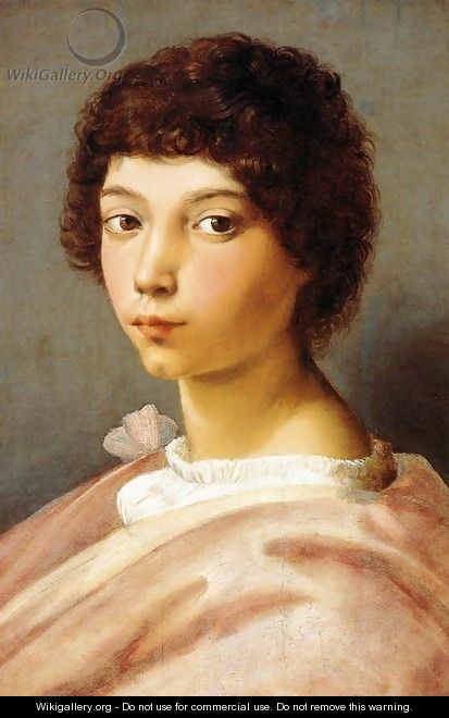 Portrait of a Young Man - Raffaelo Sanzio
