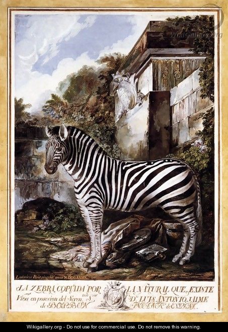 Zebra - Luis Paret Y Alcazar