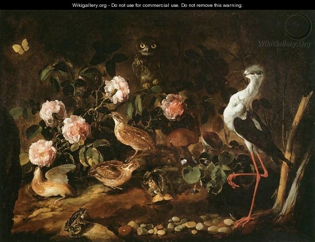 Still-Life with an Owl and an Ibis - Paolo Porpora