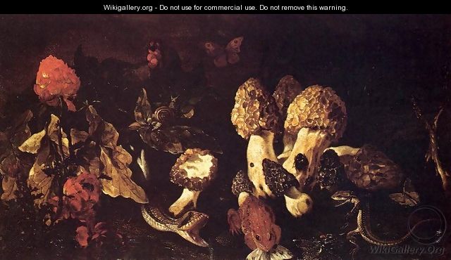Still-Life with Fungi - Paolo Porpora