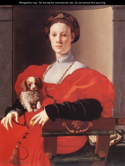 Portrait of a Lady in Red - (Jacopo Carucci) Pontormo