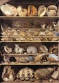 Selection of Shells Arranged on Shelves - Alexandre-Isidore Leroy De Barde