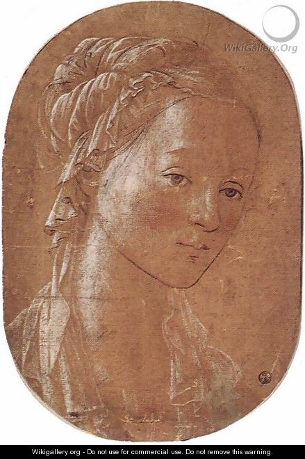 Head of a Woman - Filippino Lippi