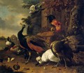 Birds in a Park 3 - Melchior de Hondecoeter