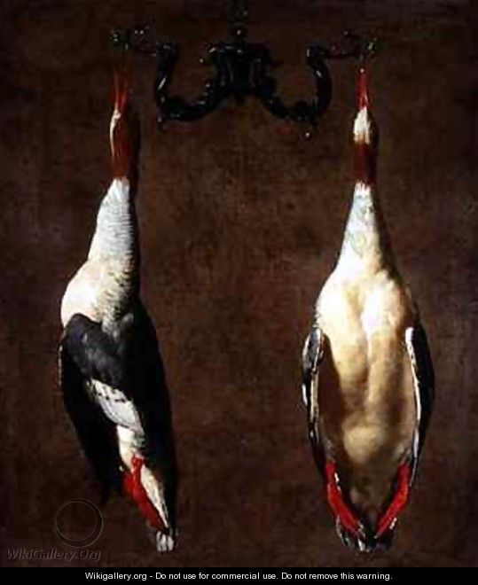 Two Wild Ducks Hanging - Cesare Dandini