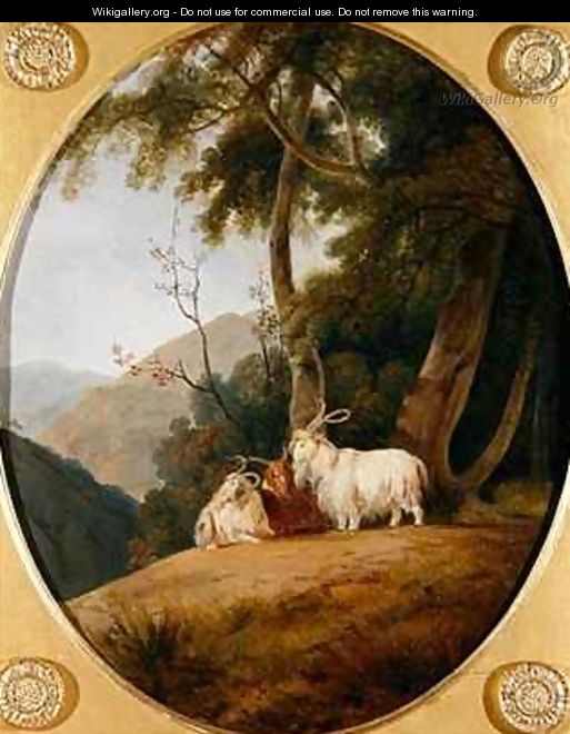 Kashmir Goats - William Daniell, R. A.