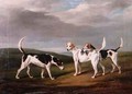 Foxhounds in a Landscape - William Henry Davis
