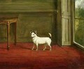 Portrait of a Jack Russell Terrier in Regency Interior - William Henry Davis