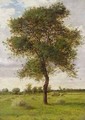 Study of an Ash Tree in Summer - James Hey Davies