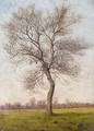 Study of an Ash Tree in Winter - James Hey Davies