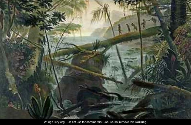 Indians using a Fallen Tree trunk to Cross the Rio Paraiba do Sul - (after) Debret, Jean Baptiste