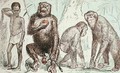 Evolution of Man from Mammals - A. Demarle